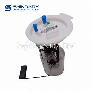 Geely Coolray Fuel Pump